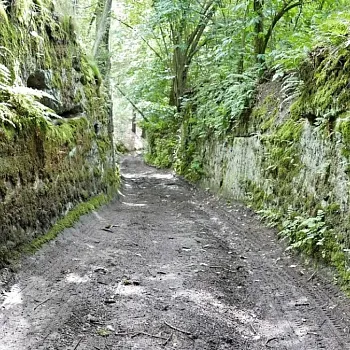 Kokořínsko - NW výšlap na výhledy z Nedvězí a Osinalické skály.