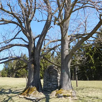 Jeseníky - III. Nordic Walking setkání jen tak - Branná