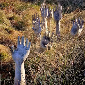 EXPEDICE KRUŠNÉ HORY - Nordic Walking přechod z Nejdek/Tisová do Klášterce nad Ohří