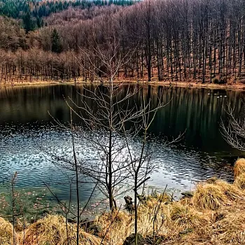 ZLATÉ HORY – SILVESTR WALKING 2024 – z Horního Údolí přes kapli Sv. Anny do Zlatých – buřtíky s sebou
