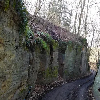 KOKOŘÍNSKO – Nordic Walking výšlap Zakšín – Tupadly