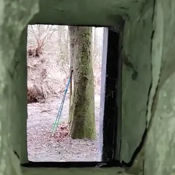 Ostrava!!! podivuhodná - Co se skrývá v Černém lese. NW výšlap