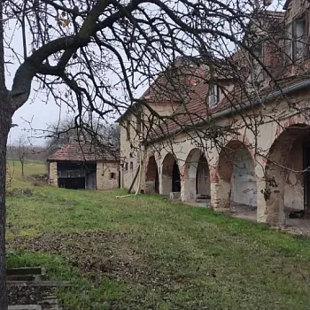 Mělník - Nordic Walking výšlap do vinice Klamovka