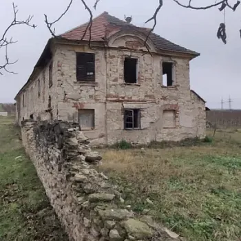 Mělník - Nordic Walking výšlap do vinice Klamovka