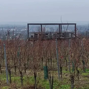 Mělník - Nordic Walking výšlap do vinice Klamovka