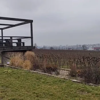 Mělník - Nordic Walking výšlap do vinice Klamovka