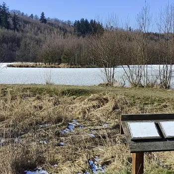 Ostrava!!! podivuhodná - předjarní Nordic Walking kolem Zbyslavických rybníků a údolím Setiny