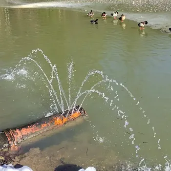 Ostrava!!! podivuhodná - předjarní Nordic Walking kolem Zbyslavických rybníků a údolím Setiny