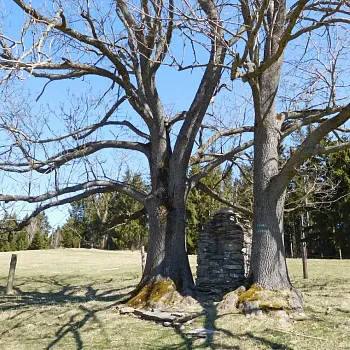Branná - Bílá sobota na stezce Pasák