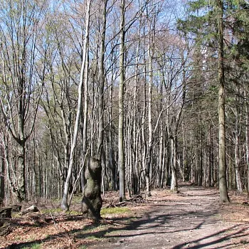 Expedice Beskydy 2025 - NW přechod Komorní Lhotka - Prašivá - Malý Javorový