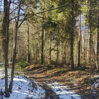Ostrava!!! – NW výšlap ze Zátiší na trilobity, úžasné místo a zámek. Buřtíky s sebou.