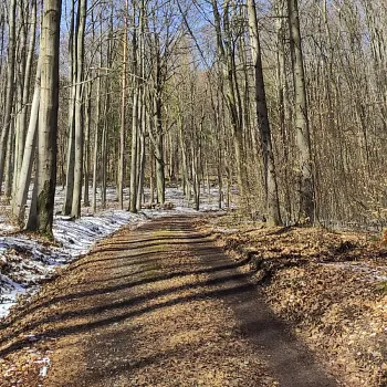 Ostrava!!! – NW výšlap ze Zátiší na trilobity, úžasné místo a zámek. Buřtíky s sebou.