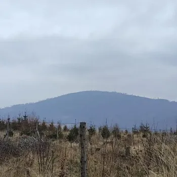 Zlaté Hory - Silvestr Walking 2025 - Osikový vrch - buřtíky s sebou
