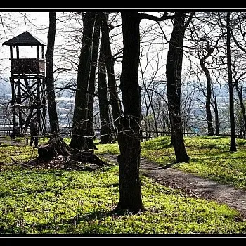 OSTRAVA!!! - májový Nordic Walking víkend v podivuhodném městě
