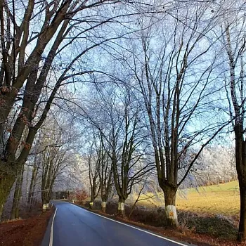 Ostravsko - NW výšlap Háj ve Slezsku - tvrz Smolkov - Čertův mlýn