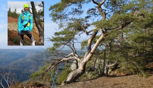 KOKOŘÍNSKO – Nordic Walking výšlap Zakšín – Tupadly