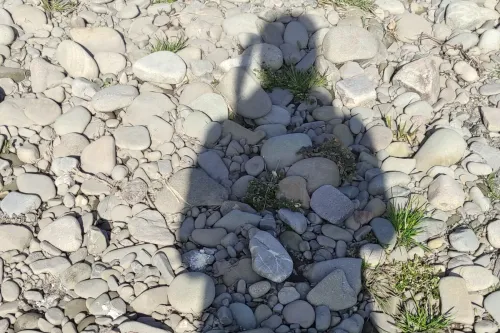 Ostrava podivuhodná - halda Hrabůvka - řeka Ostravice a jiné divy