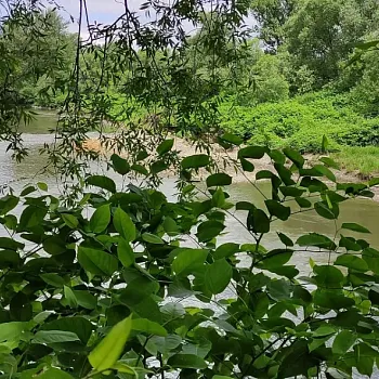 Starý Bohumín - hraniční meandry Odry a jiné divy