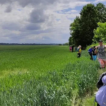Starý Bohumín - hraniční meandry Odry a jiné divy