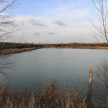 Mělník - Nordic Walking kolem Baraby - 1.12.2019