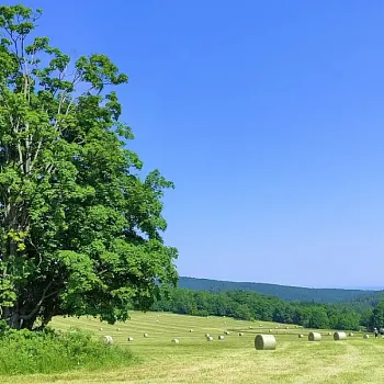 Nordic Walking "Expedice Rychleby 2021"