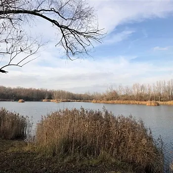Mělník - Nordic Walking kolem Baraby - 1.12.2019