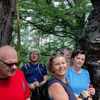 Kokořínsko - střezivojický Nordic Walking výšlap za kamennými růžemi