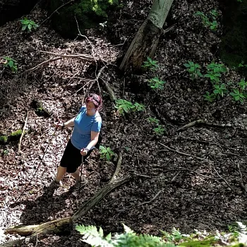 Kokořínsko - střezivojický Nordic Walking výšlap za kamennými růžemi