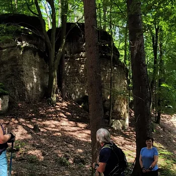 Kokořínsko - střezivojický Nordic Walking výšlap za kamennými růžemi