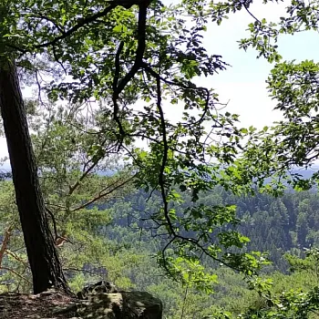 Kokořínsko - střezivojický Nordic Walking výšlap za kamennými růžemi
