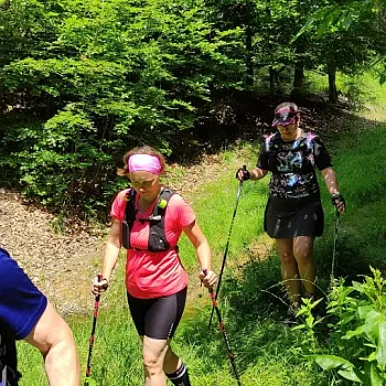 Kokořínsko - střezivojický Nordic Walking výšlap za kamennými růžemi
