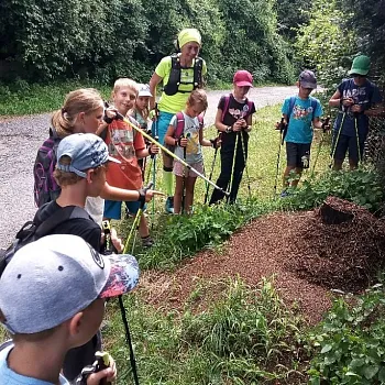 Nordic Walking pro náročné.
