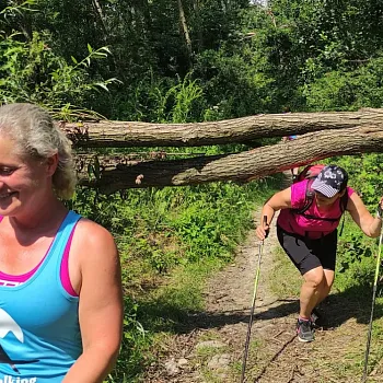 Nordic Walking v háji. V Háji ve Slezsku.