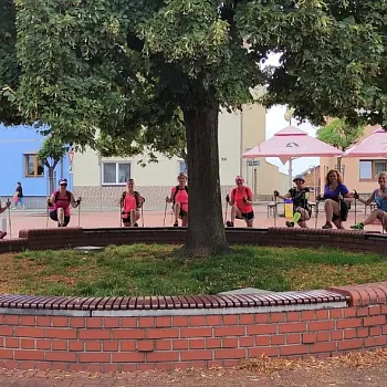 Nordic Walking v háji. V Háji ve Slezsku.