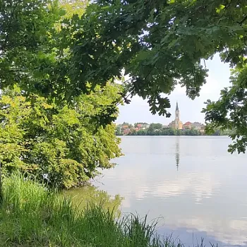 Nordic Walking v háji. V Háji ve Slezsku.