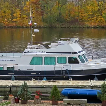 Nordic Walking listopad 2021 u Vltavy