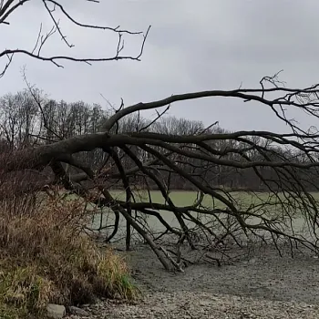 Nordic Walking v podivuhodném Poodří.