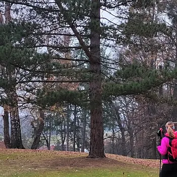 Nordic Walking v podivuhodném Poodří.