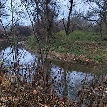 Nordic Walking v podivuhodném Poodří.