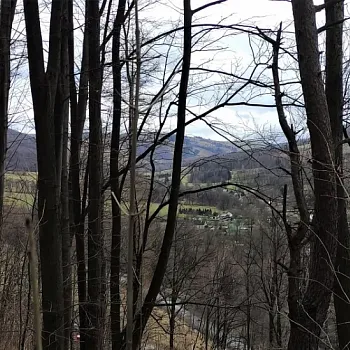 Zlaté Hory - pošmourný Silvestr 2021 i nadějné vyhlídky