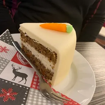 Ostrava - Nordic Walking kolem Plesné 5. ledna 2020