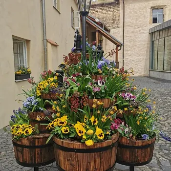 Víkendovka České středohoří, den druhý - Litoměřice