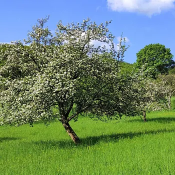 Víkendovka České středohoří, den třetí - jdeme na Milešovku