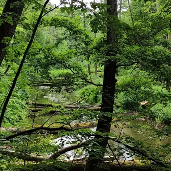 Nordic Walking expedice Máchovou cestou, den první.