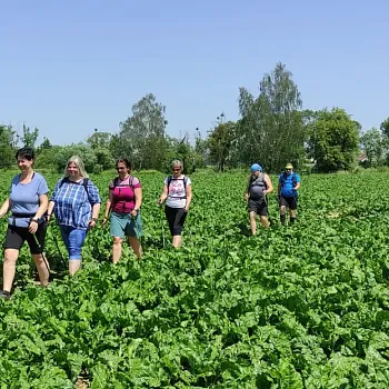 Zámecký Nordic Walking výšlap Kravaře - Velké Hoštice.