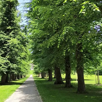 Zámecký Nordic Walking výšlap Kravaře - Velké Hoštice.