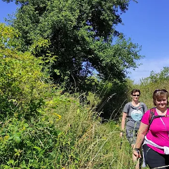 Kokořínsko - Nordic Walking skalním městem u Střezivojic.