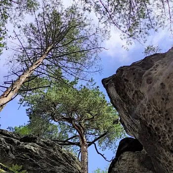 Kokořínsko - Nordic Walking skalním městem u Střezivojic.