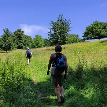 Kokořínsko - Nordic Walking skalním městem u Střezivojic.