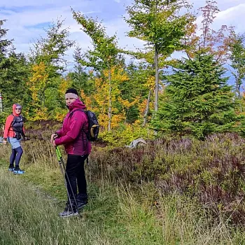 Nordic Walking nad Zlatými Horami